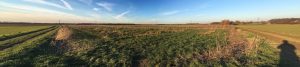 Gartenglück Panorama, noch ohne Parzellen