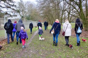 Chihuahua Treffen in Zollstock